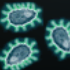 Alien Organisms